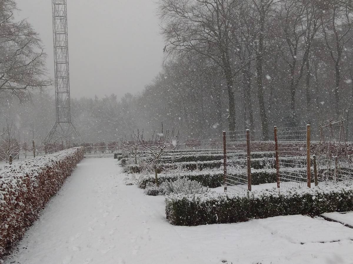 Beum, Dorst in de sneeuw.