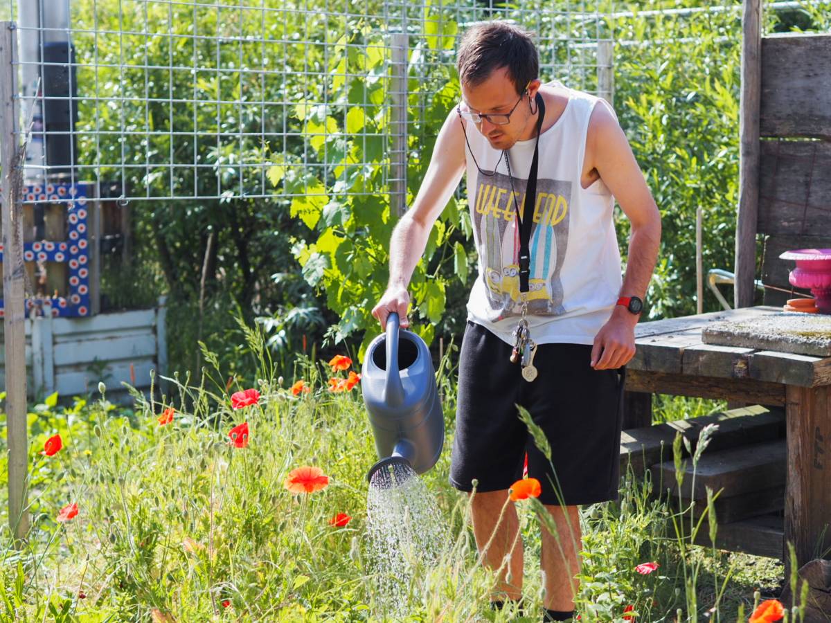 Cliënt geeft plantjes water